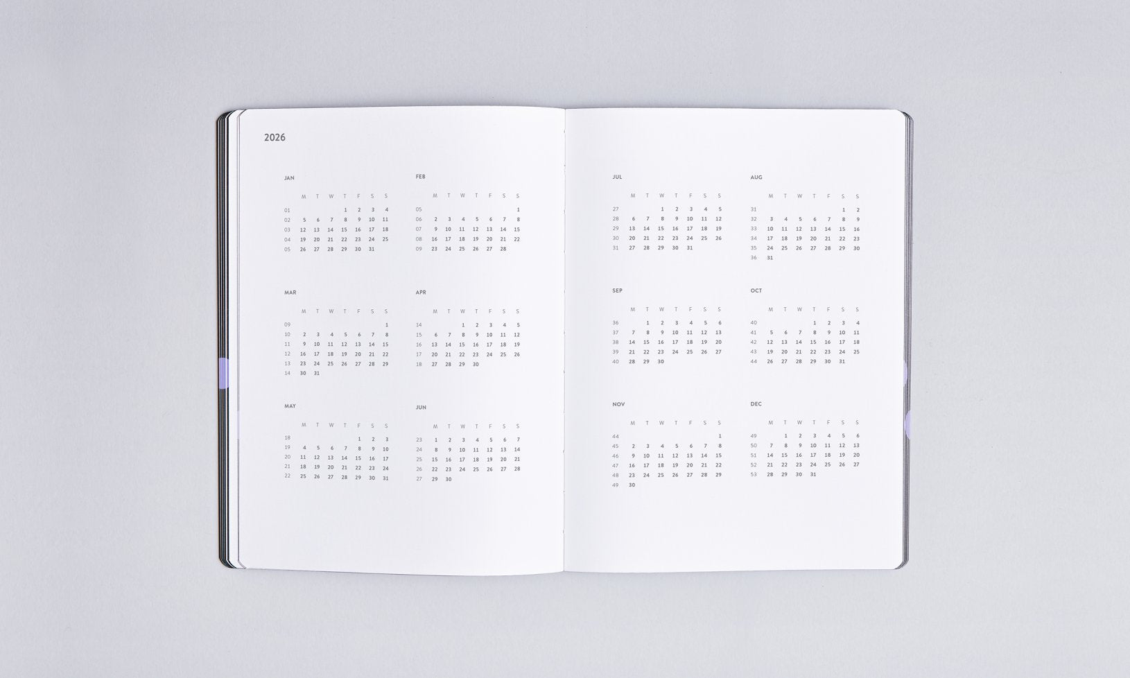 Nuuna Kalender 2025 - Future Plans