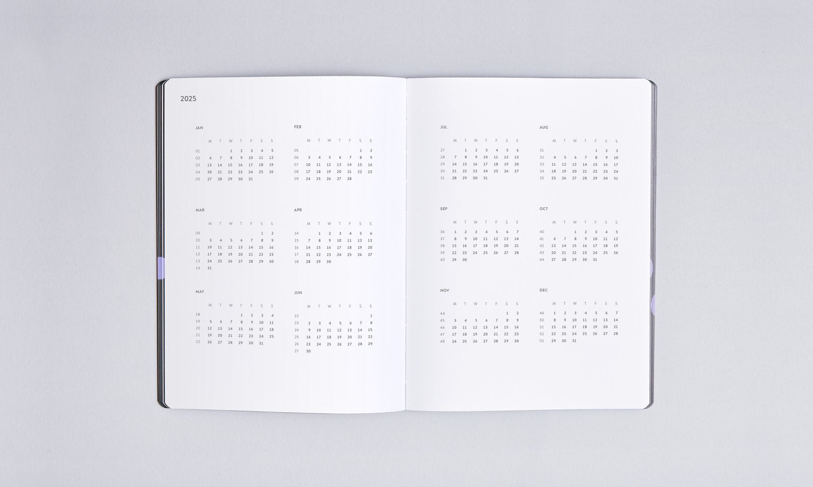 Nuuna Kalender 2025 - Future Plans