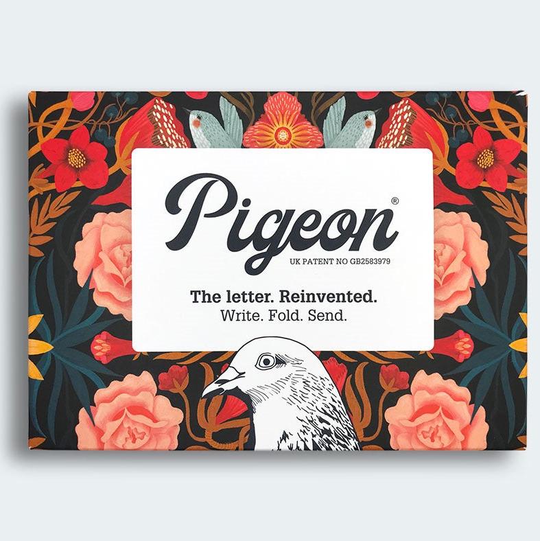 Pigeon - bright and beautiful Briefset