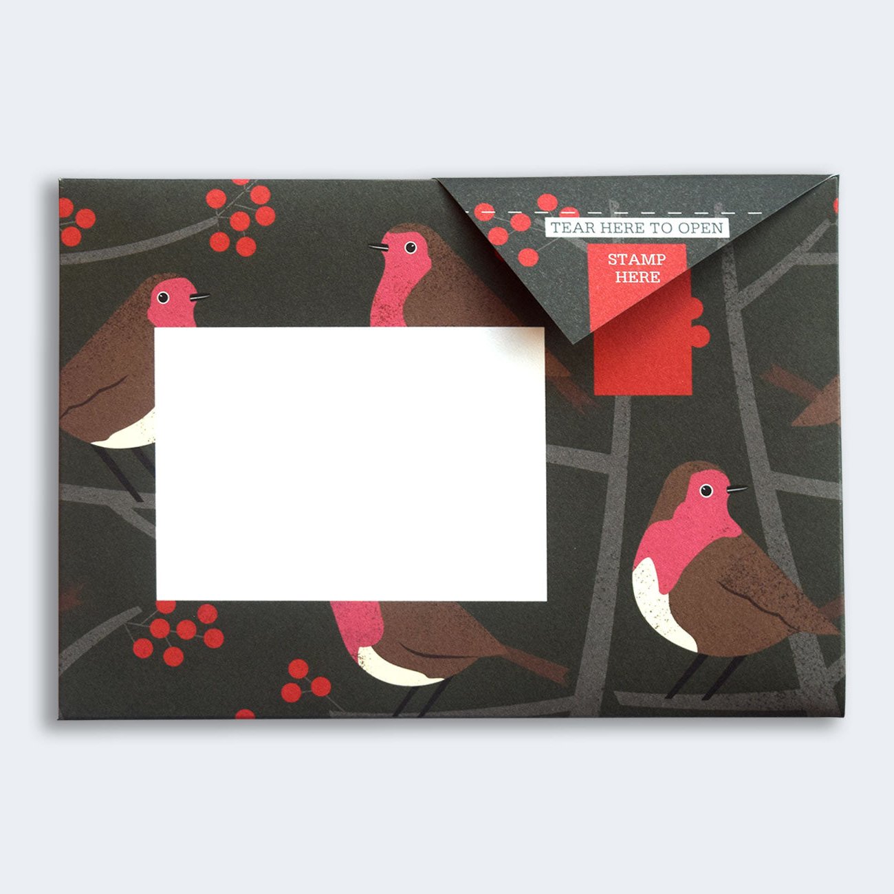 Pigeon - robin and wren Briefset