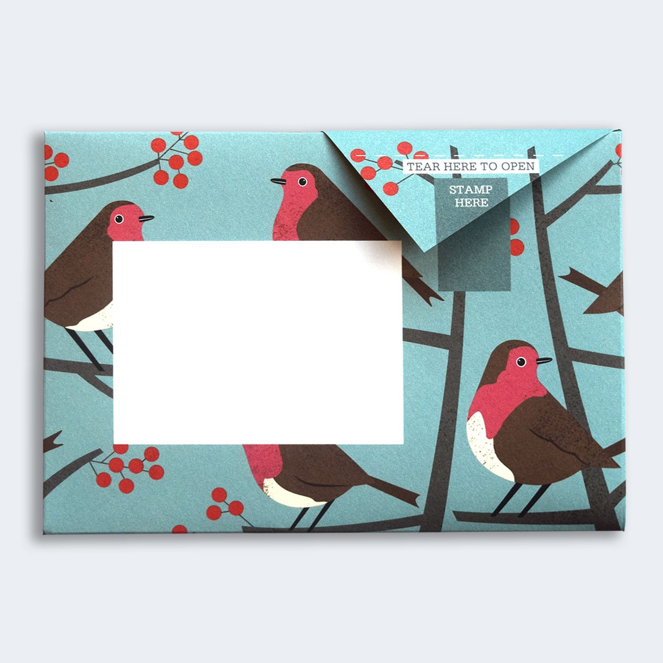 Pigeon - robin and wren Briefset