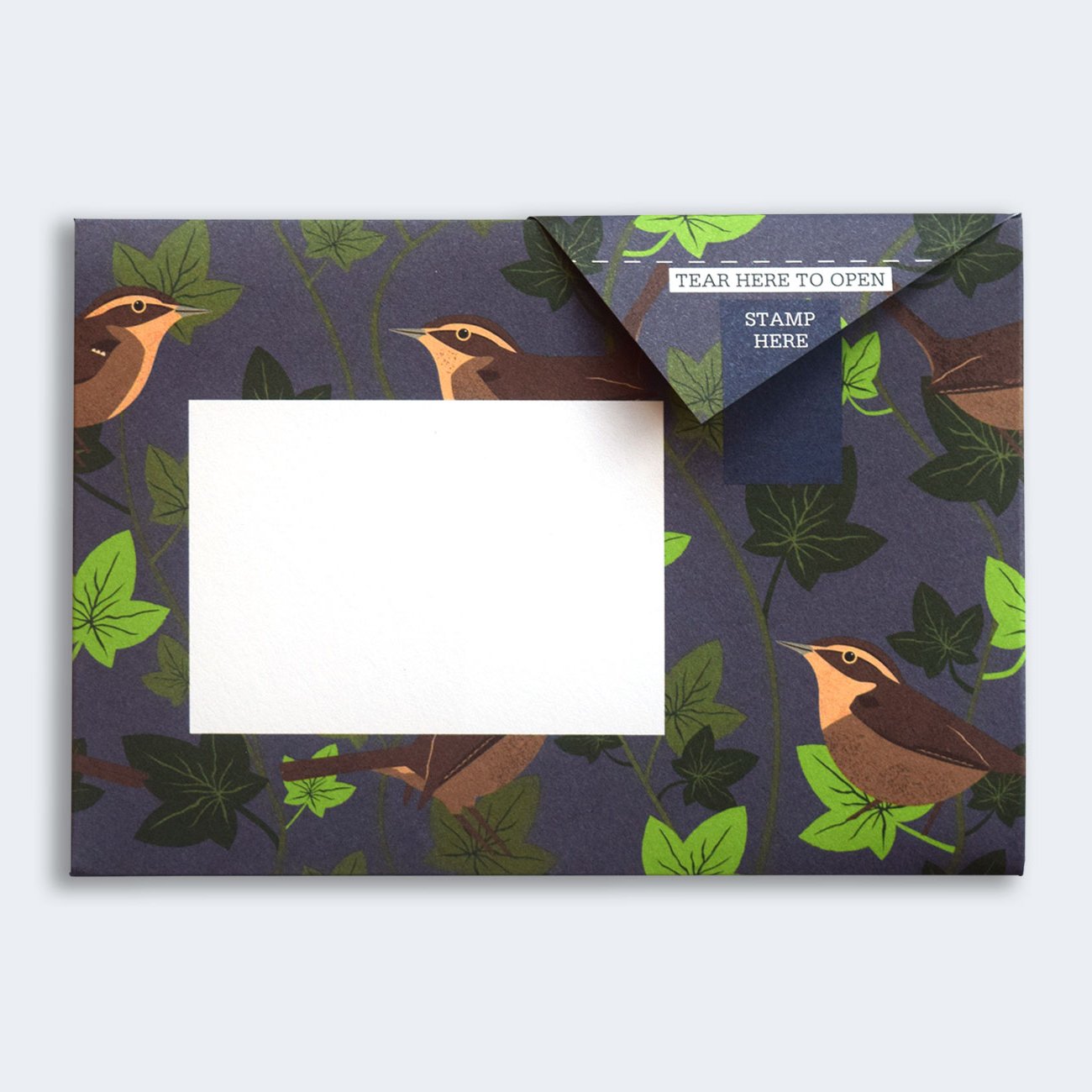 Pigeon - robin and wren Briefset