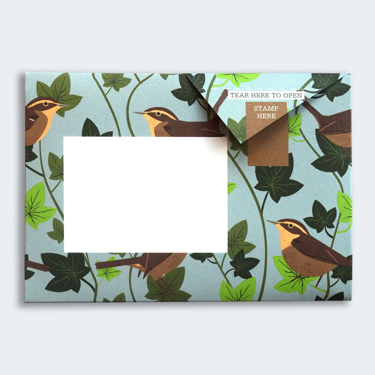 Pigeon - robin and wren Briefset