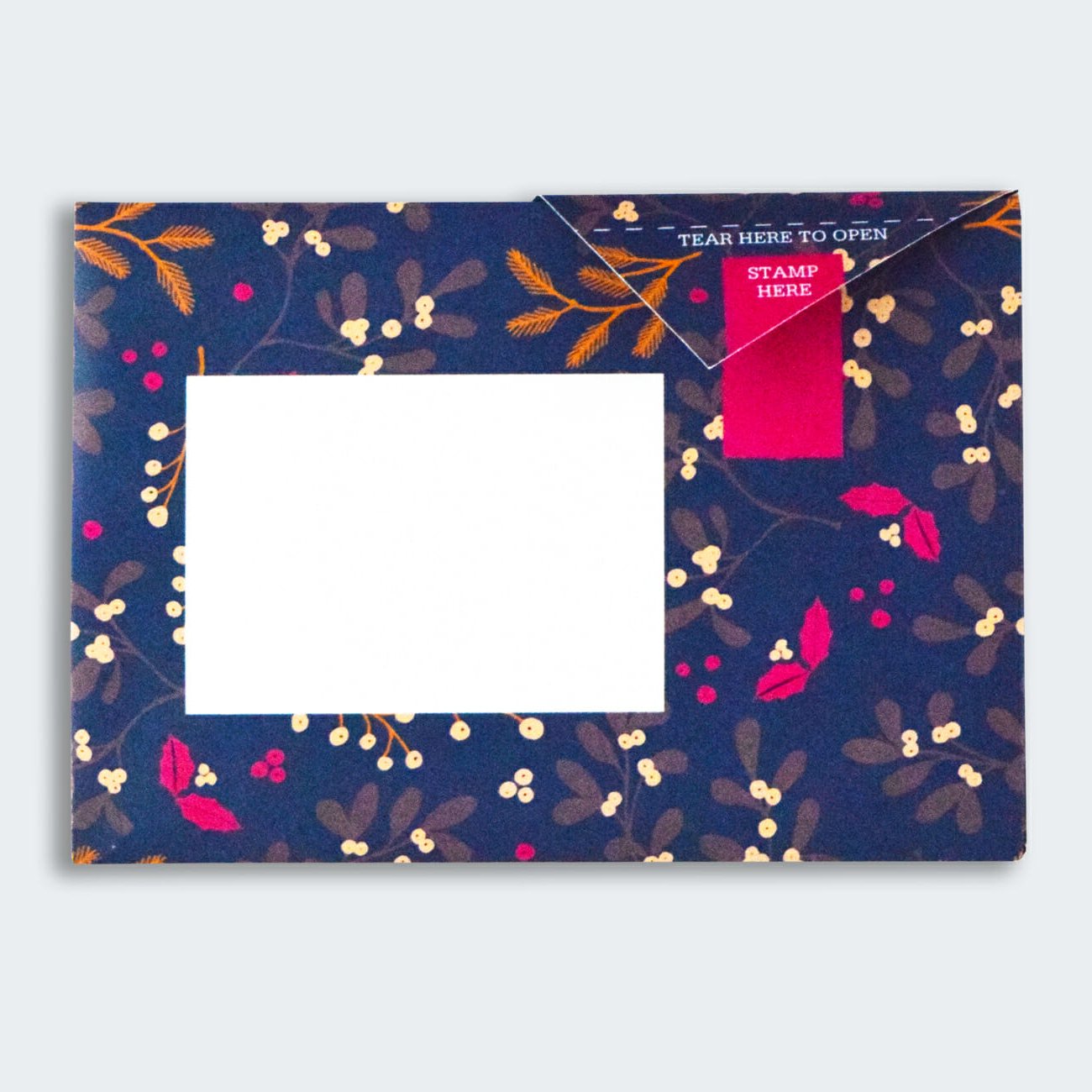 Pigeon - winter berries Briefset