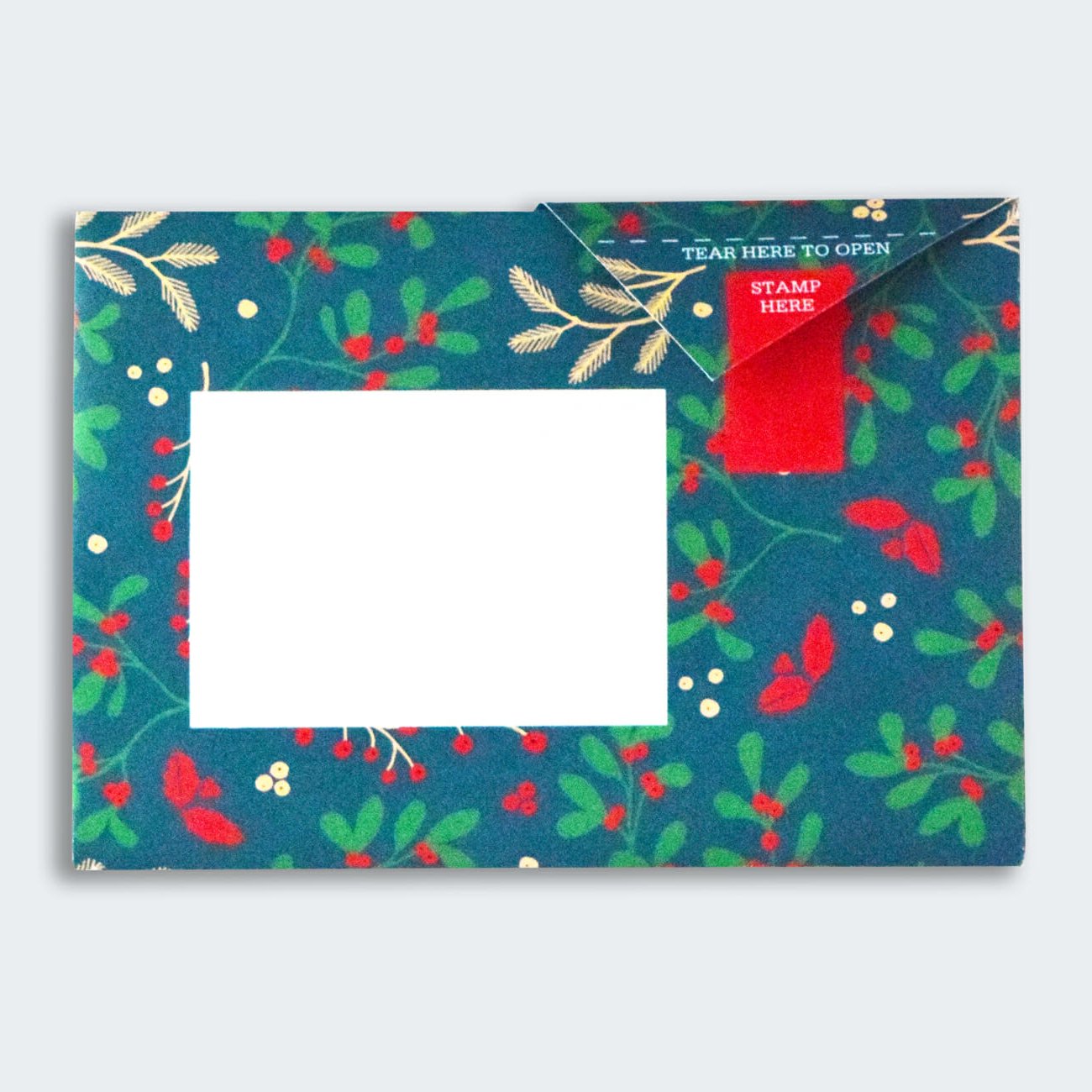 Pigeon - winter berries Briefset